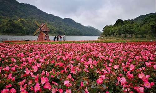 石门森林公园天池花海_石门国家森林公园天池花海