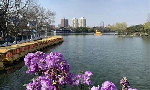 上海长风公园门票多少好玩吗_上海长风公园