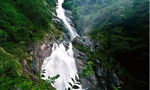 天目山旅游攻略一日游推荐理由_天目山旅游