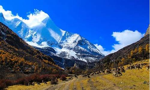 稻城亚丁旅游攻略及费用,稻城亚丁旅游攻略