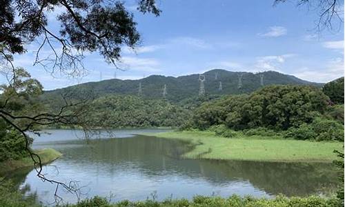 厦门天竺山风景区好玩吗,厦门天竺山森林公园攻略