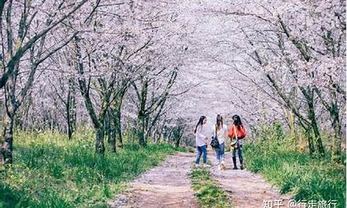 春季旅游景点拍照_春游拍照姿势大全