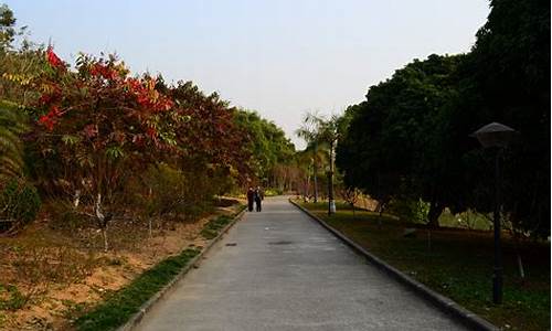 广州龙头山森林公园开放了吗,广州龙头山需要门票吗