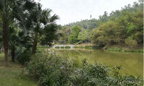 龙岗龙城公园管理处电话,龙岗龙城公园