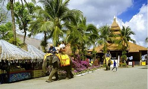 峨眉山旅游攻略三日游多少钱合适_峨眉山旅游攻略三日游多少钱合适呢