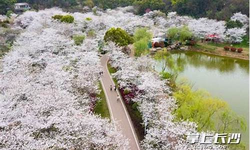 玉湖公园_昆山玉湖公园