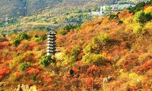 北京西山公园在哪,北京西山公园哪年开放的