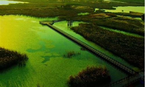 杭州湾湿地公园附近景点,杭州湾湿地公园周边景点