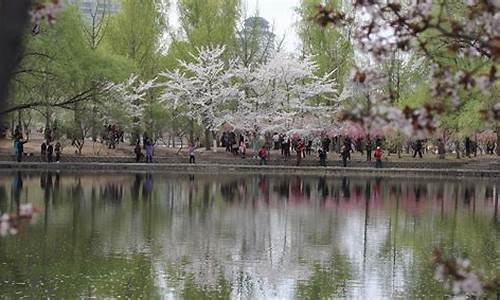 3月份北京去哪里旅游最好,三月份北京旅游攻略