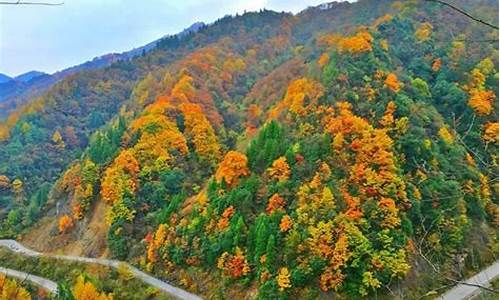 光雾山景区旅游攻略,光雾山旅游攻略最新一日游路线