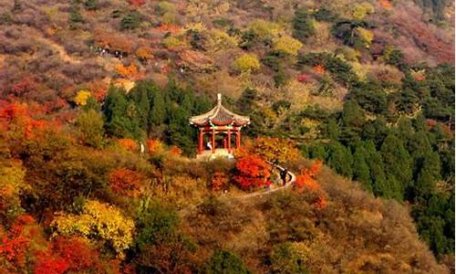 北京香山公园什么时候去最好,香山公园啥时候去好看