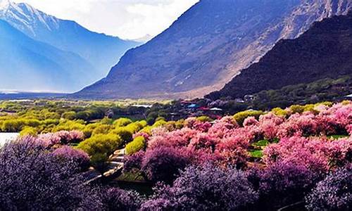 成都自驾林芝旅游攻略,成都自驾林芝路线