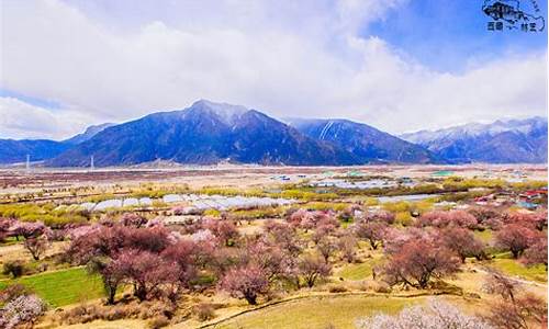 林芝景点排行前十名,林芝景点排行