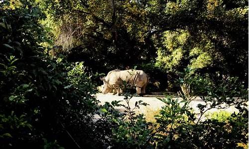 动植物公园占地面积,动植物公园建设