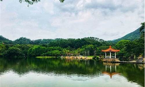 深圳仙湖植物园怎么样好玩吗,深圳仙湖植物园攻略路线