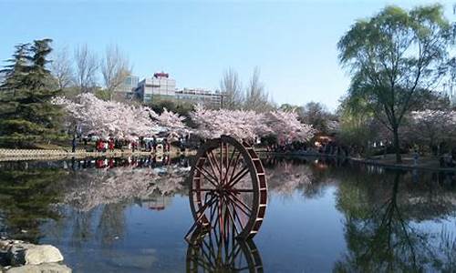 北京玉渊潭公园门票需要预约吗,北京玉渊潭公园门票