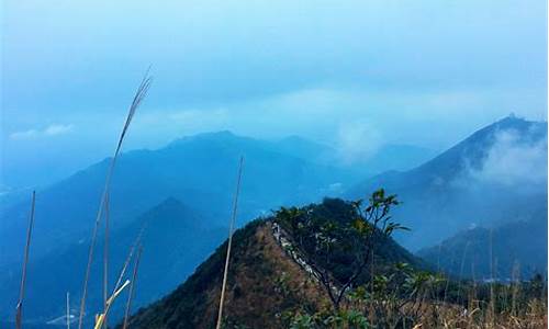 梧桐山一日游攻略,梧桐山旅游攻略大全最新