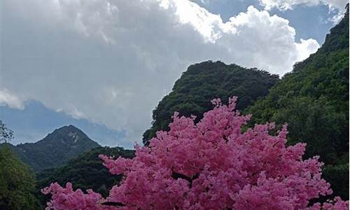 太平森林公园一日游_太平森林公园一日游心情说说