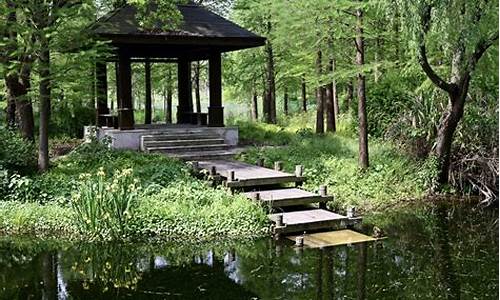 郊野公园园林区,郊野公园级别