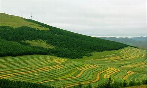 草原天路自驾游攻略3日游_草原天路自驾路线