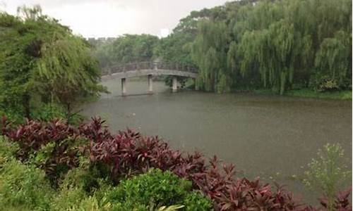 石马村桃花公园,石马桃花公园桃花什么时间开