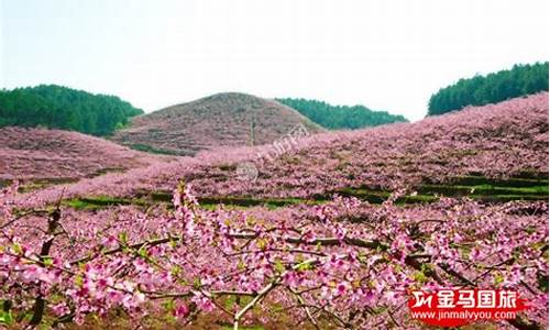 恭城桃花节自驾游攻略,2021恭城桃花节是几月几日