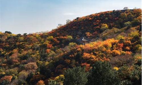 喇叭沟门原始森林公园门票-喇叭沟门国家森林公园旅游攻略