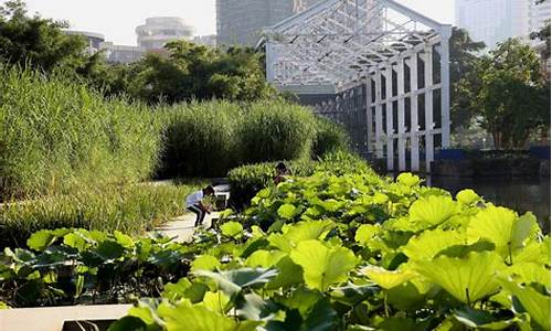 中山岐江公园生态修复-中山岐江公园生态修复理论