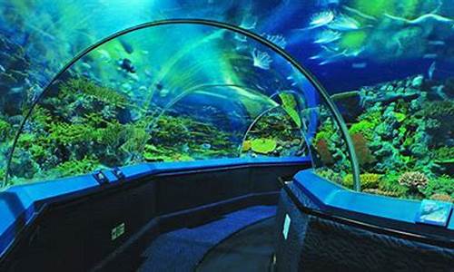 上海海洋水族馆攻略一日游图片,上海海洋水