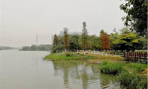 蕉门公园可以钓鱼吗,广州蕉门公园在哪里