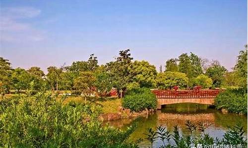上海公园面积排名_上海公园总数